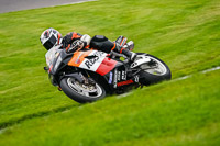 anglesey;brands-hatch;cadwell-park;croft;donington-park;enduro-digital-images;event-digital-images;eventdigitalimages;mallory;no-limits;oulton-park;peter-wileman-photography;racing-digital-images;silverstone;snetterton;trackday-digital-images;trackday-photos;vmcc-banbury-run;welsh-2-day-enduro